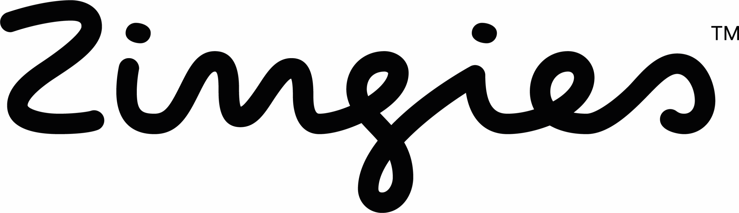 Zendigs Zingies • Making everyday life exciting.
