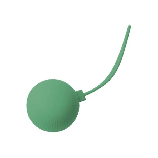 Zingies Logan Silicone Pacifier Case