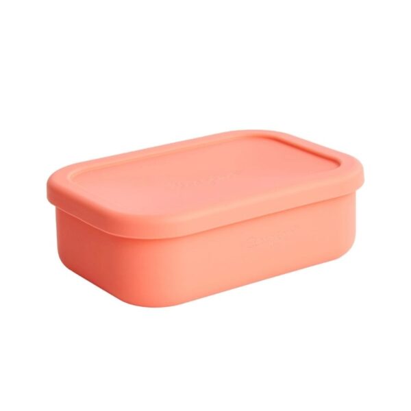 bento box silicone food container